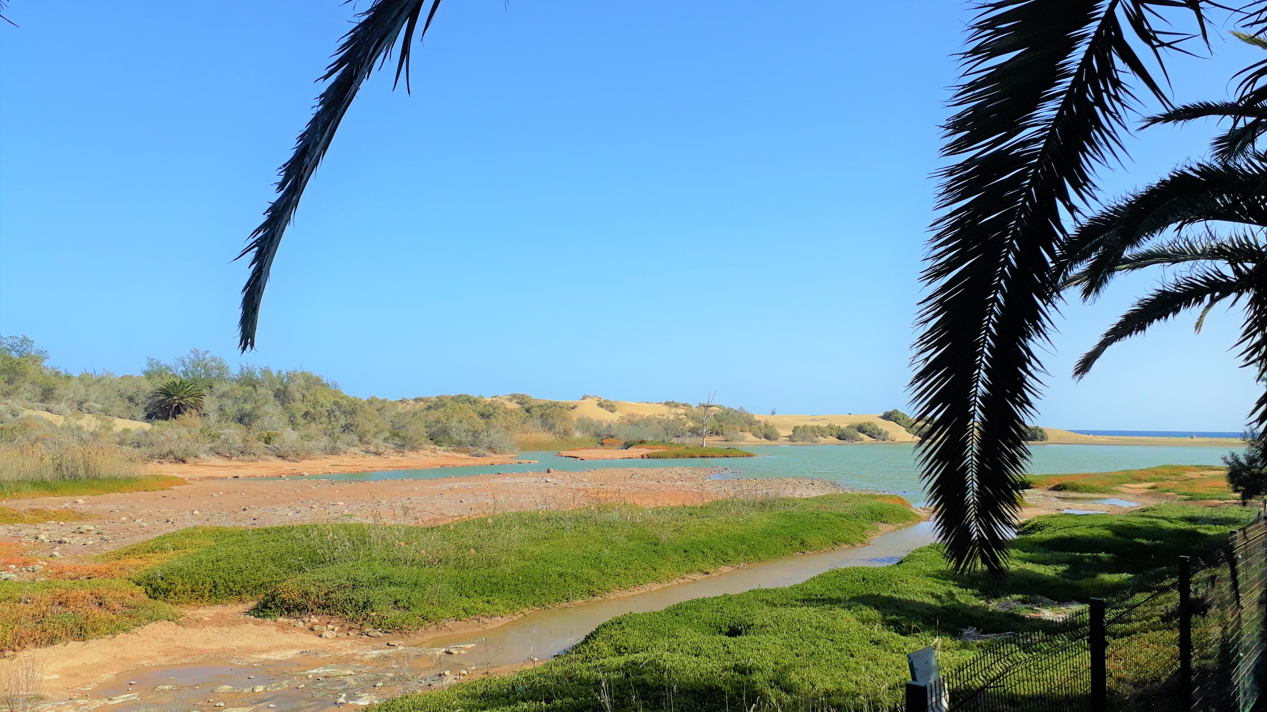 Maspalomas sand dunes