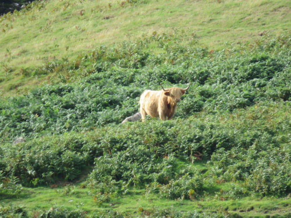 Rod Steward spotted!