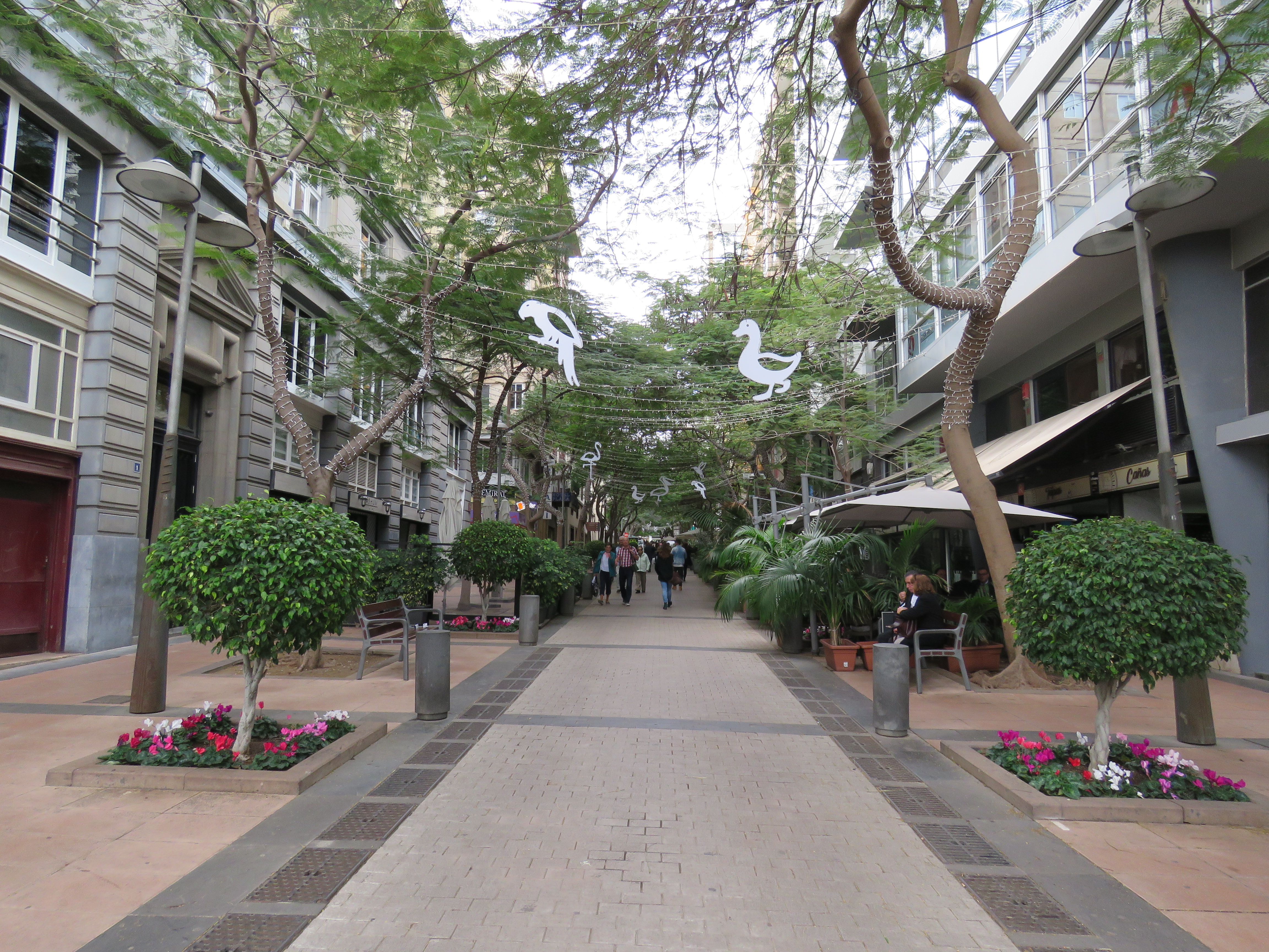 Santa Cruz, Tenerife