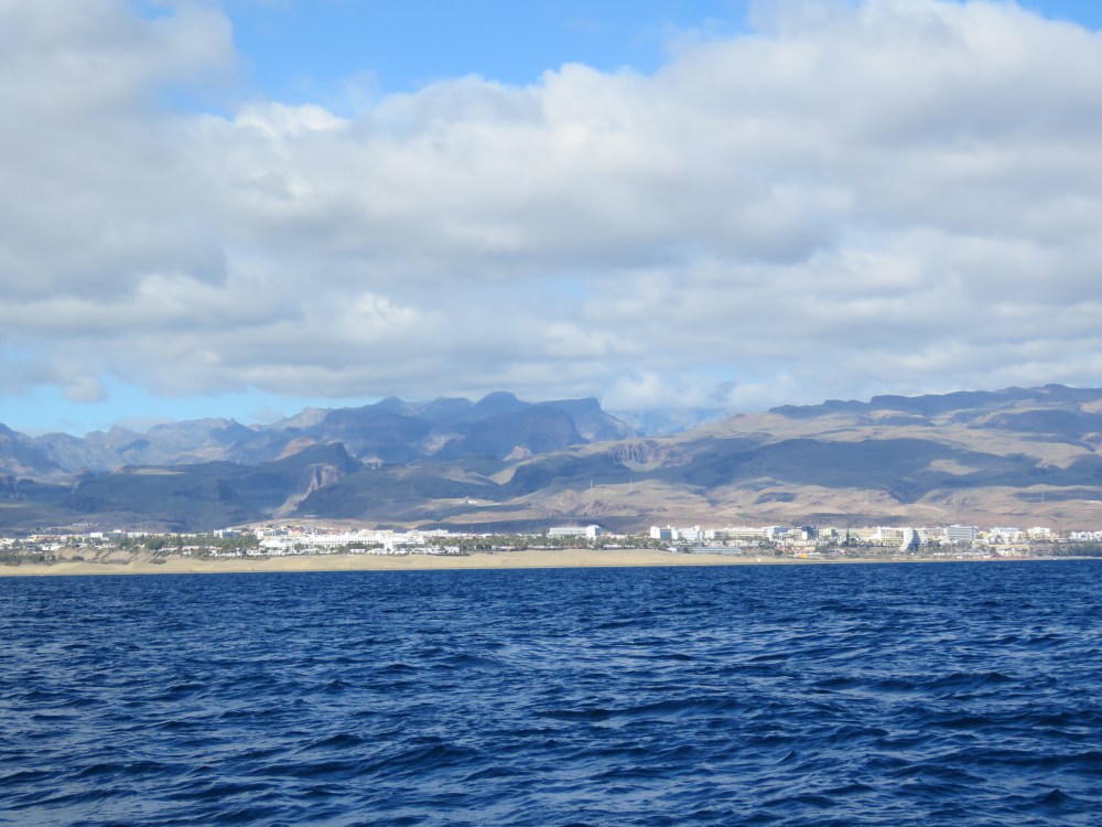 Sand dunes in a distance