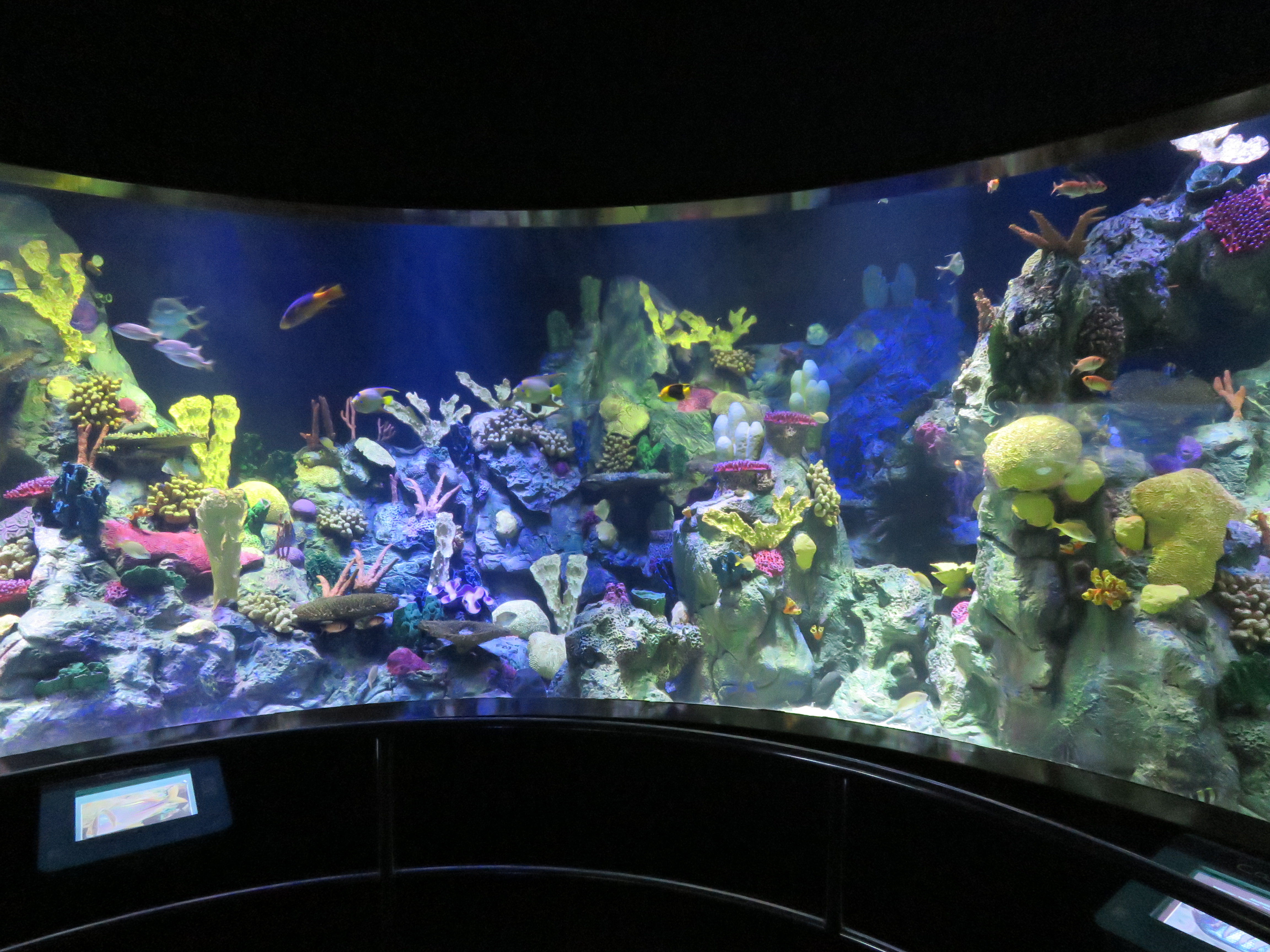 Aquarium