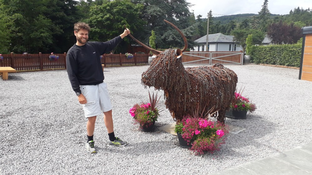 Catch that bull from the horns!