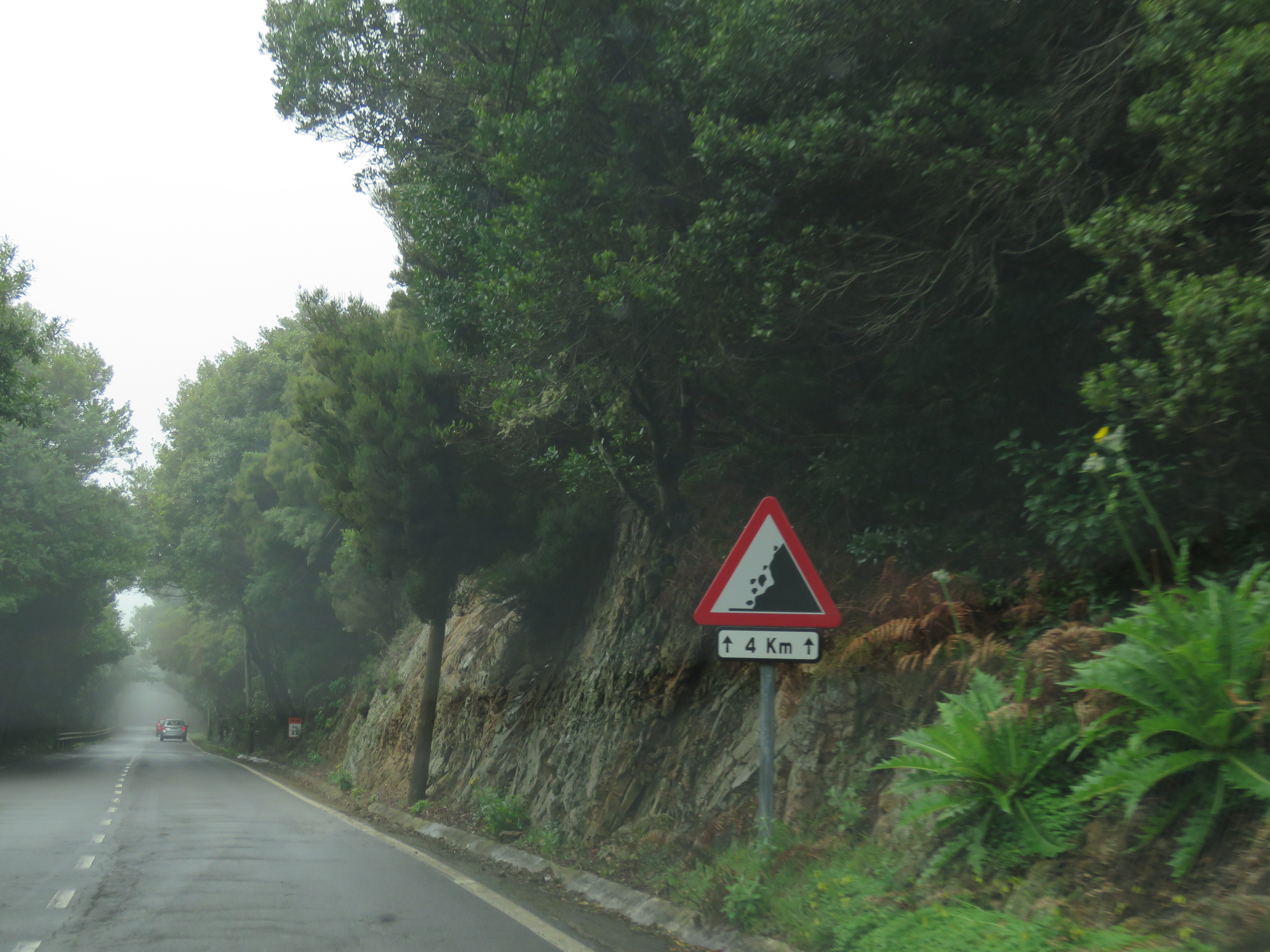 Driving through Parque de Anaga