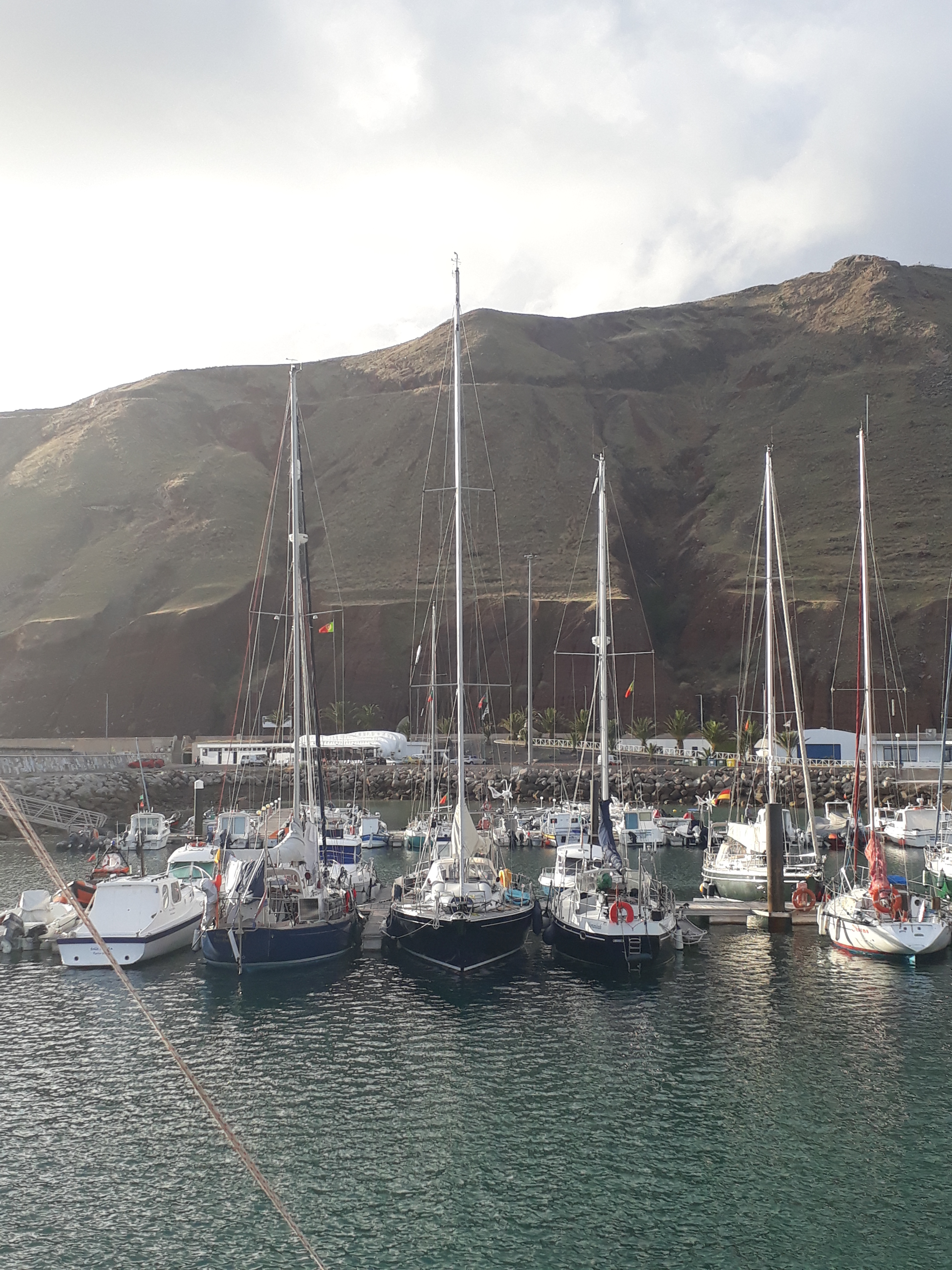 Libra safely tucked in