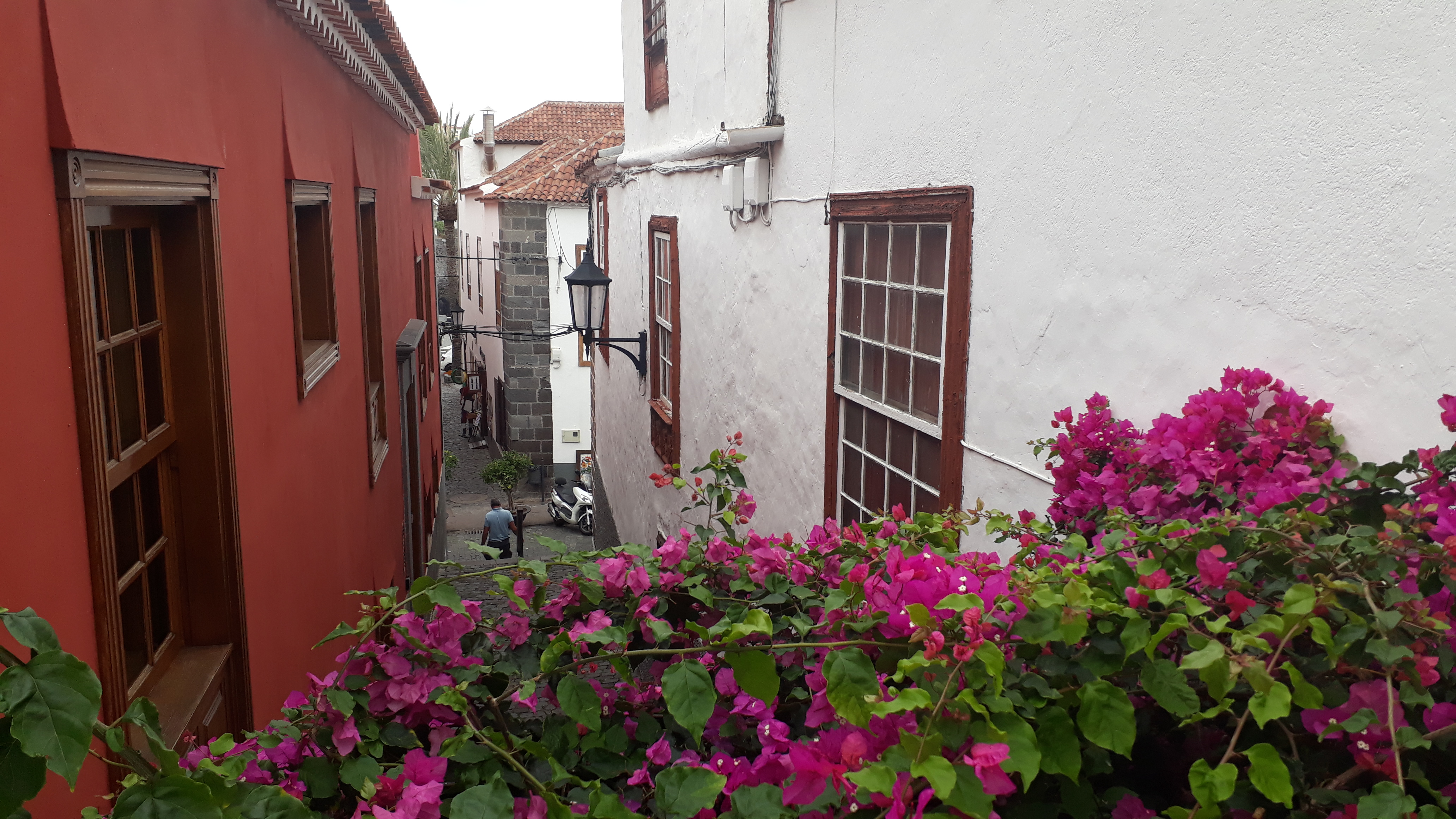 It feels like spring!