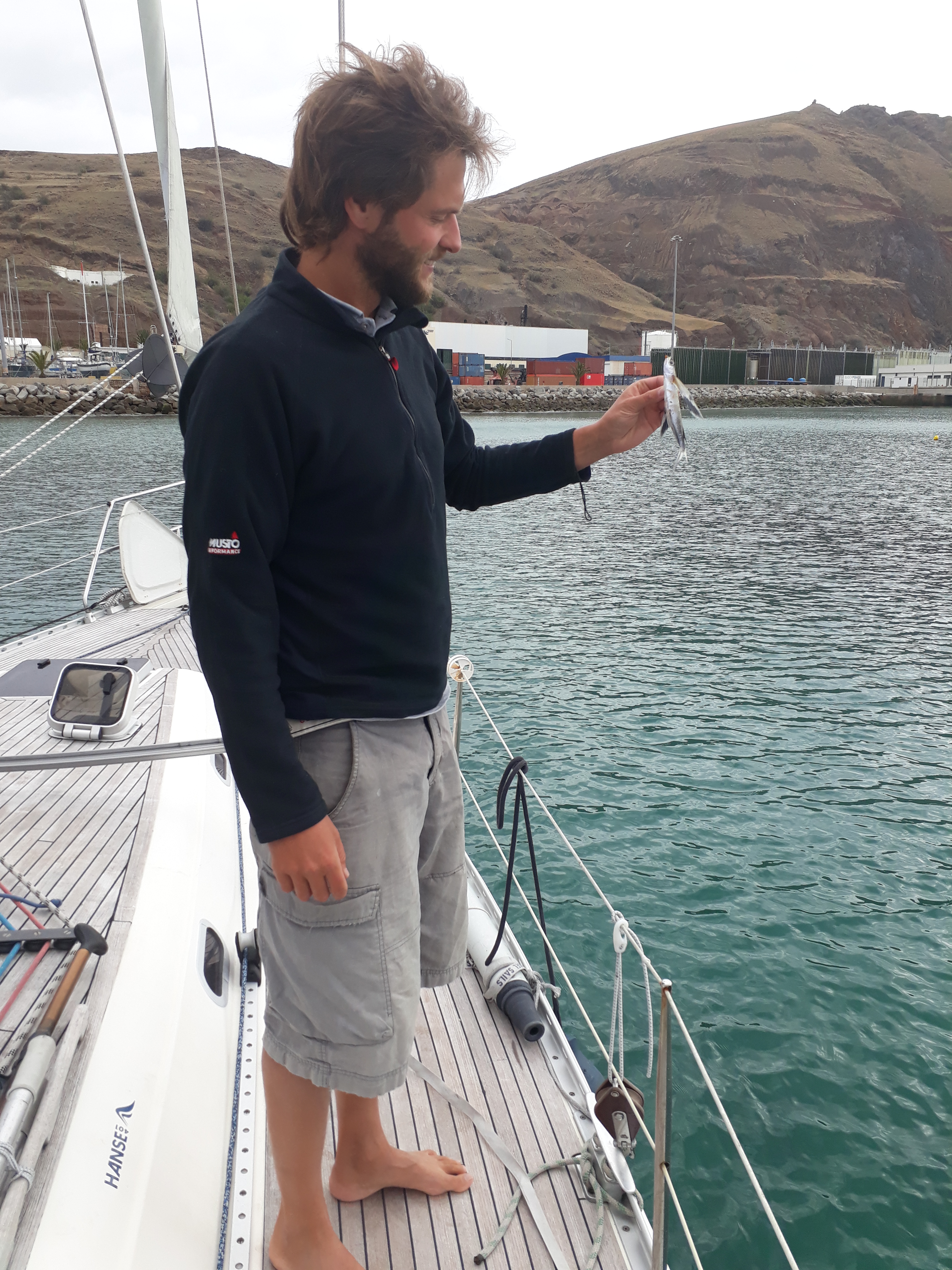 Flying (not anymore) fish