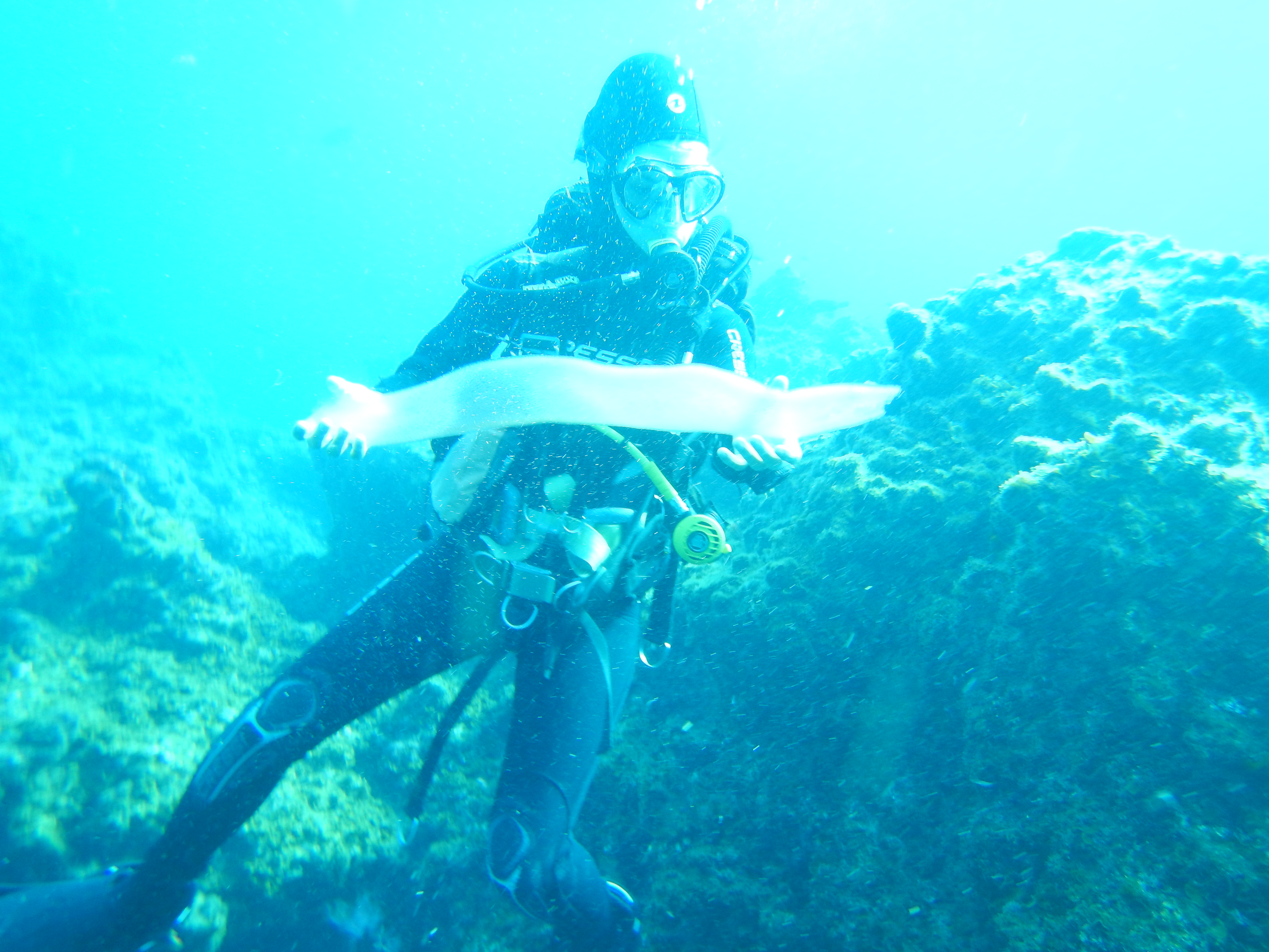 Laura with a pyrosoma