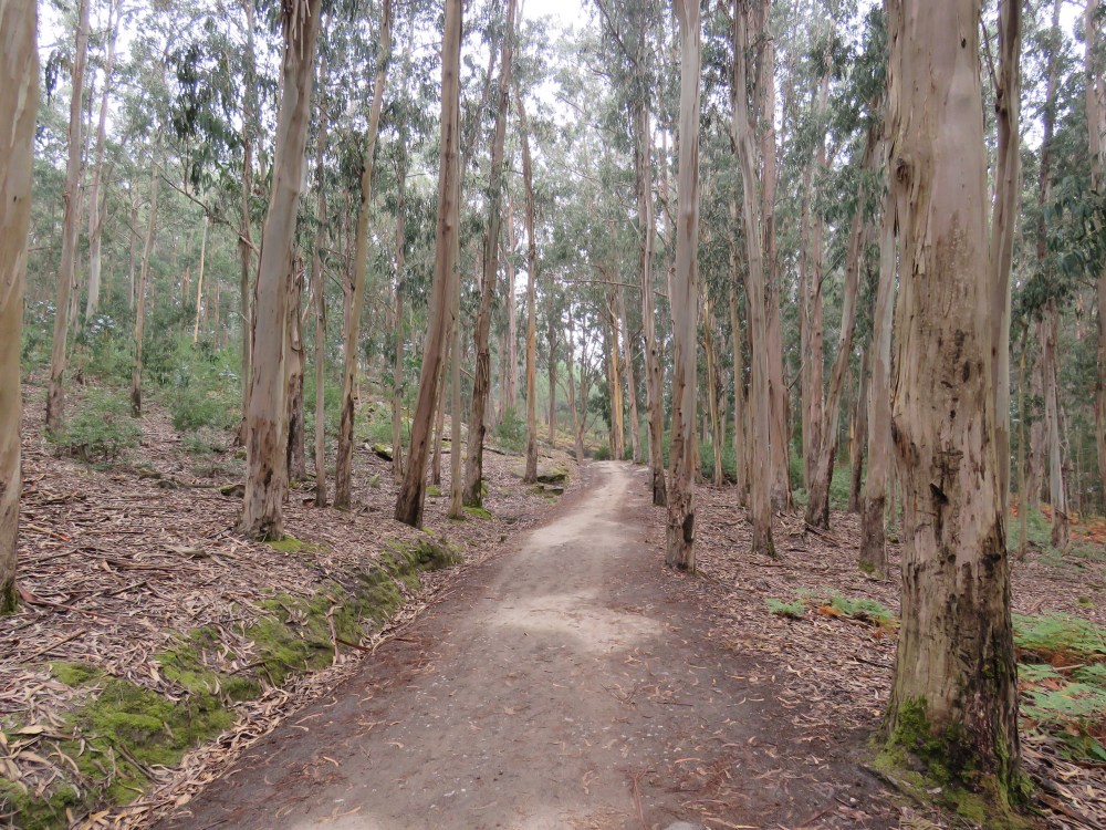 Nightmare on Elm street