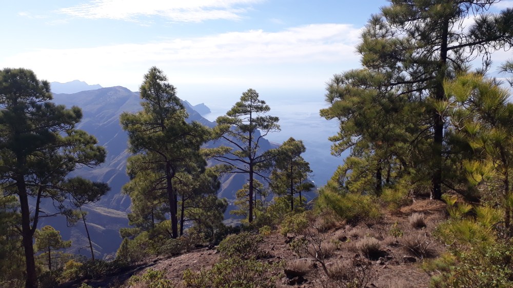 How high can you go?