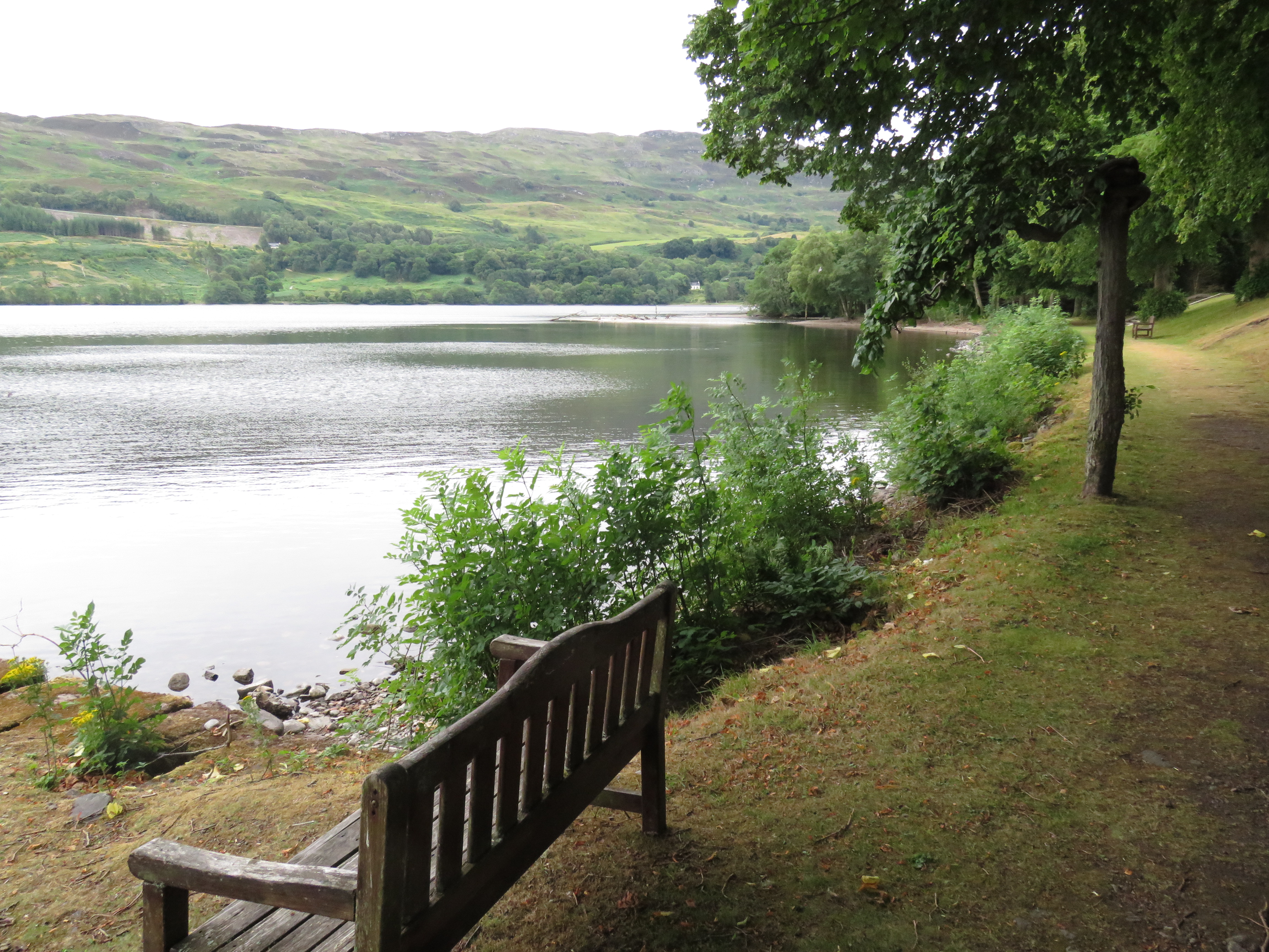 Sit and enjoy the view