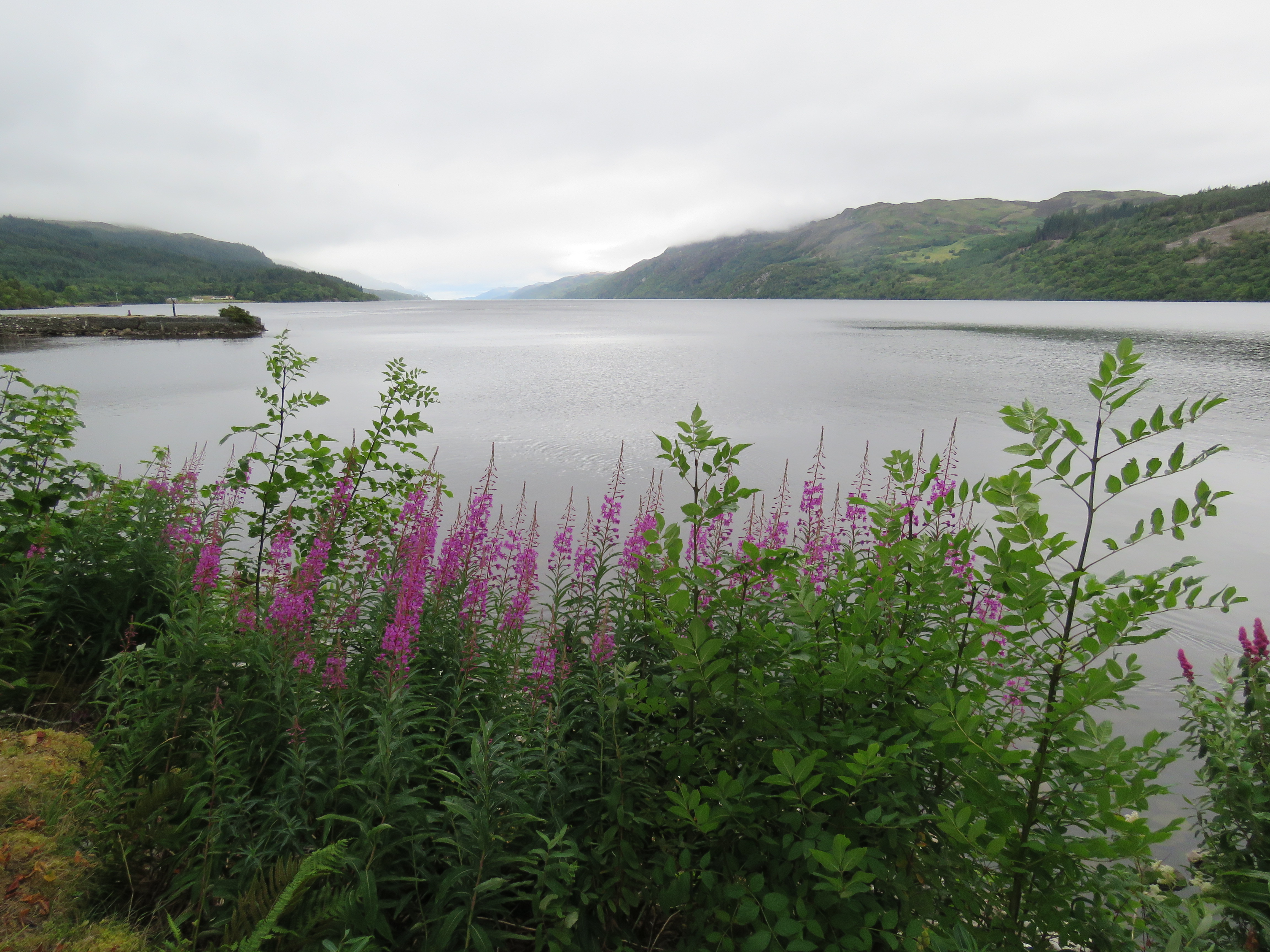 Stop and smell the flowers!